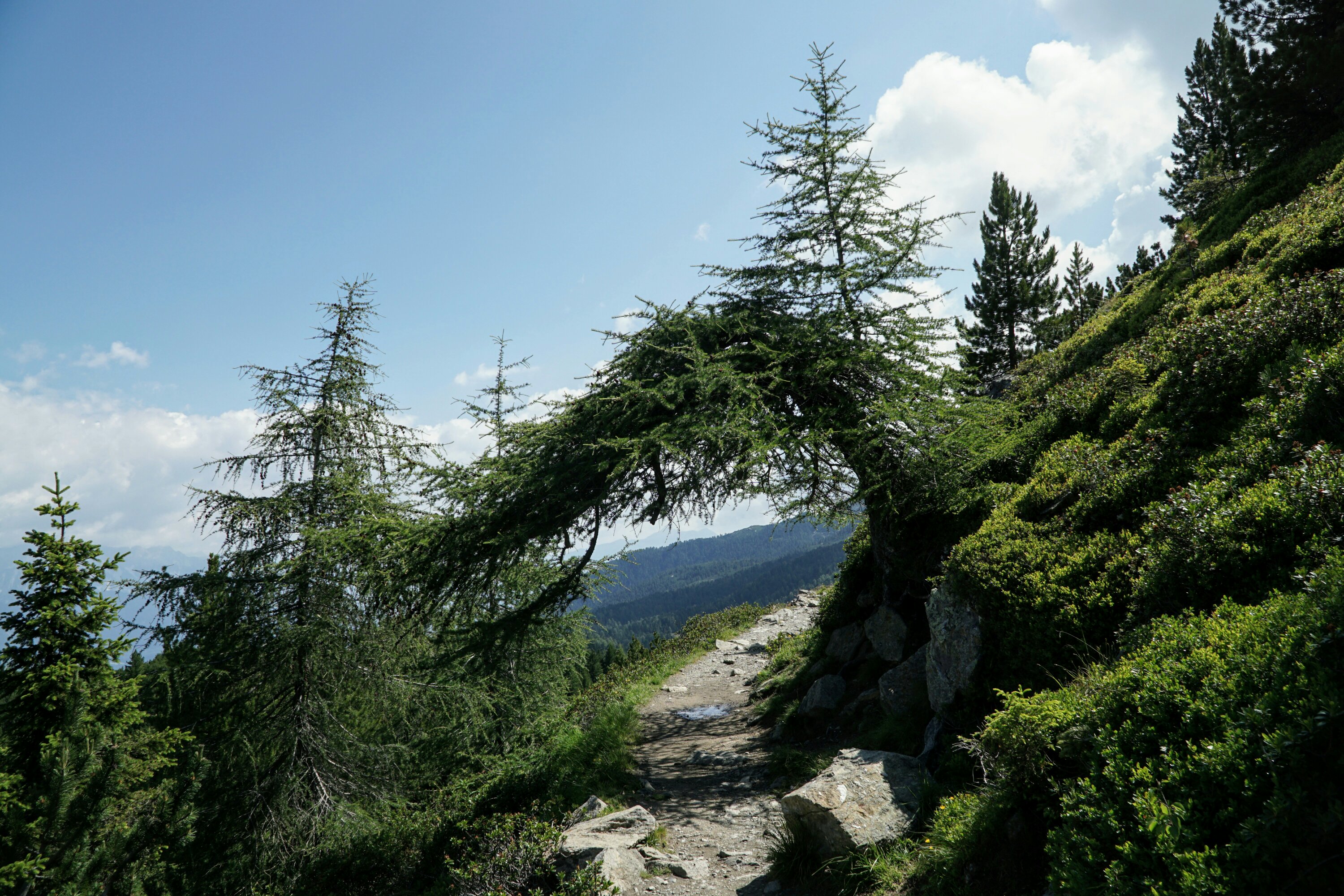 Mehr über den Artikel erfahren „Wandern“ über Innsbruck